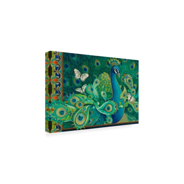 David Galchutt 'Paisley Peacock' Canvas Art,30x47